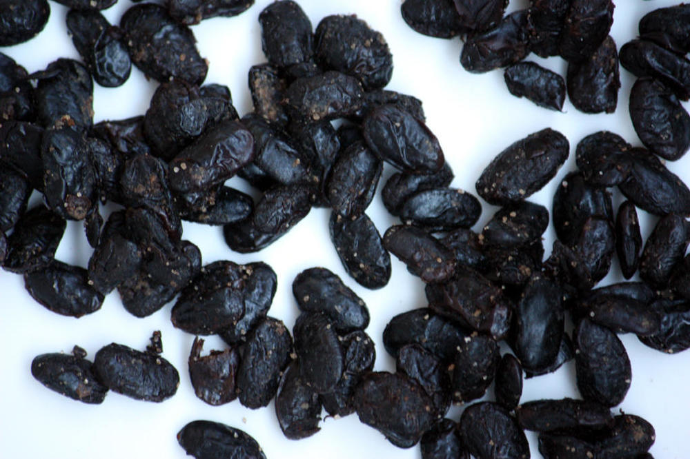 2050037556_Fermentedblackbeans2.thumb.jpg.8706507d8d4ab30a404bbf03ad8e10f0.jpg