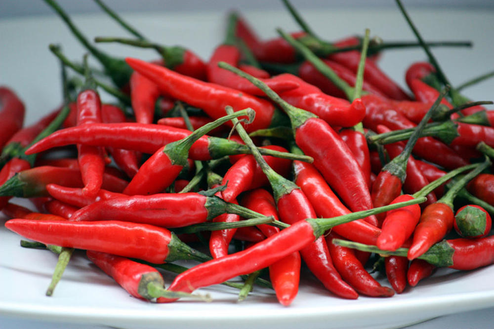 395395726_freshfacingheavenchillies.thumb.jpg.9a32423b9dd9fa8160aceab0f7fbe551.jpg