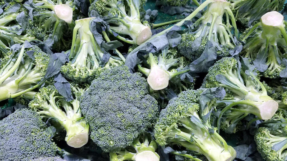 broccoli.jpg