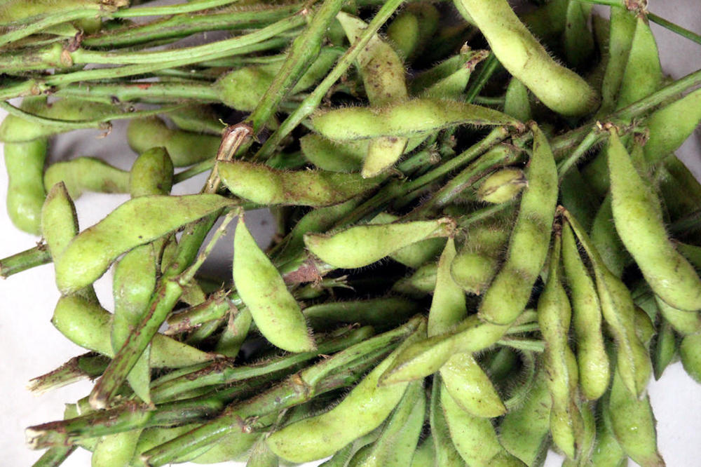 edamame2.thumb.jpg.5e2ea5434220ac8f35ce6974a68fc8ed.jpg