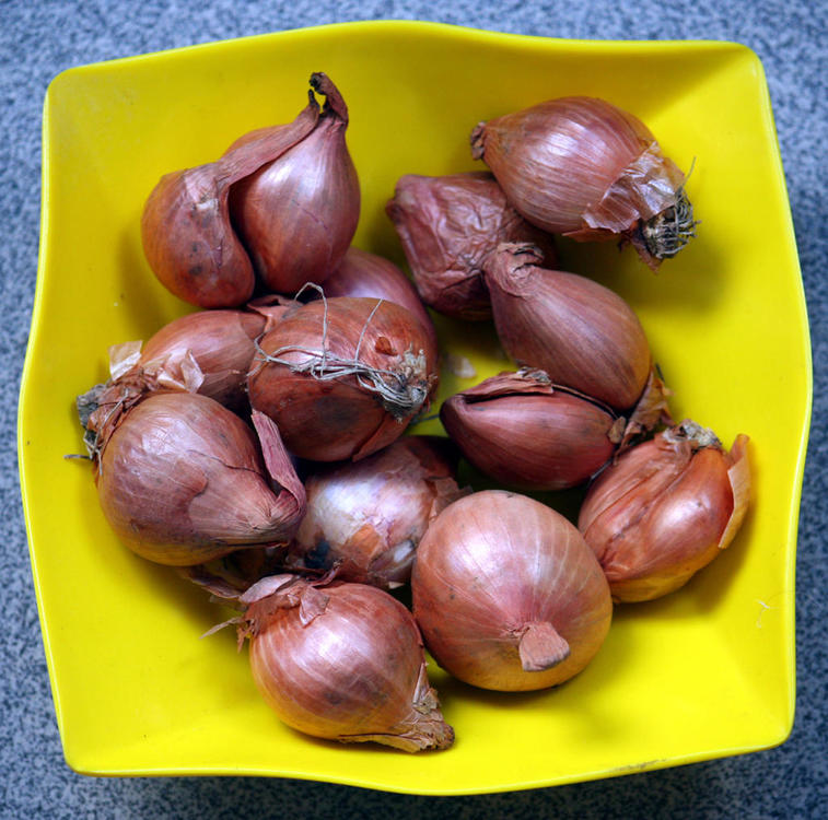 shallots.thumb.jpg.a914c4ee64a679e1347376ba029641af.jpg