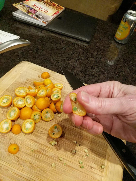 kumquat.thumb.jpg.c13024c7156e18f20676252a454e44a4.jpg