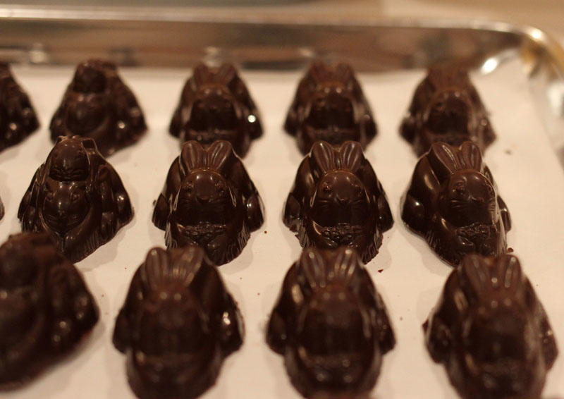 1355428659_IMG_3170-darkchocolatecoconutbunnies.jpg.5173aedee684fdcd55ecb0480151fe14.jpg