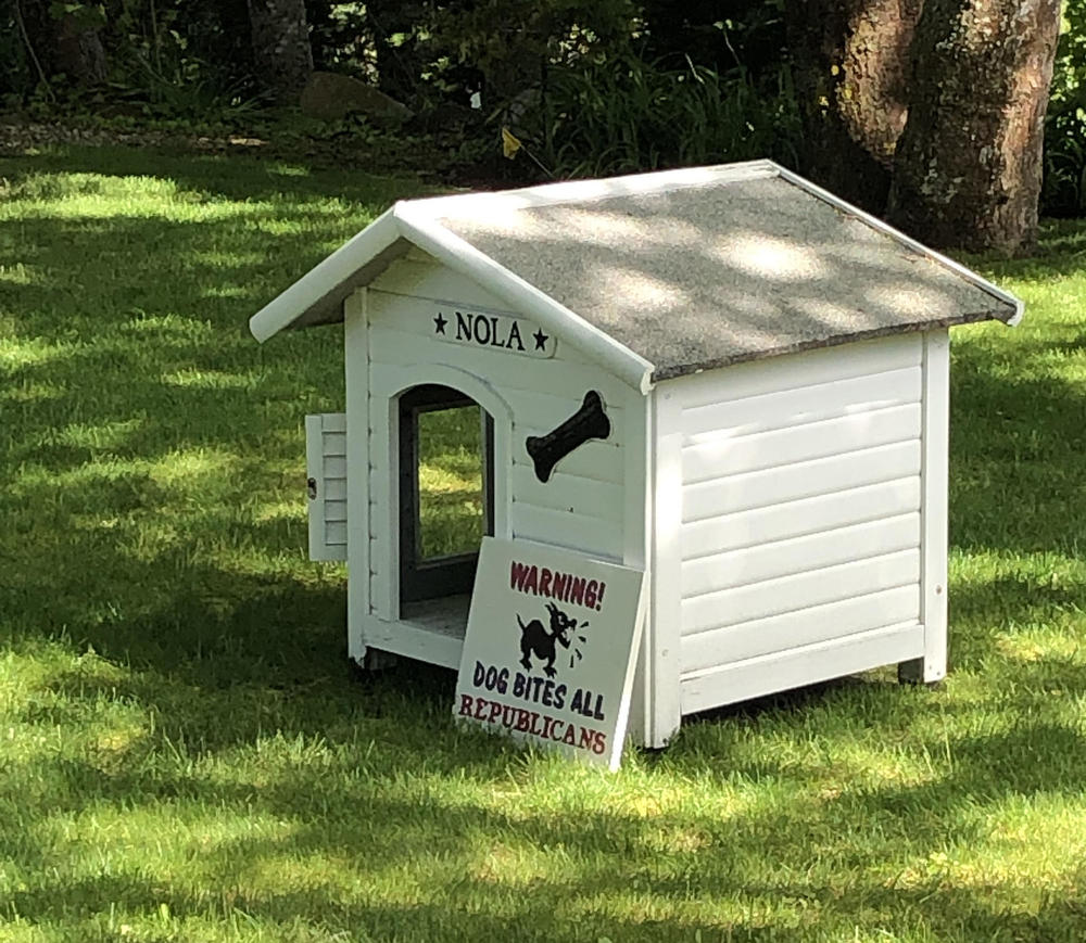 doghouse.thumb.jpg.aa796c1e2a365ec1a84aae0191d0bed3.jpg