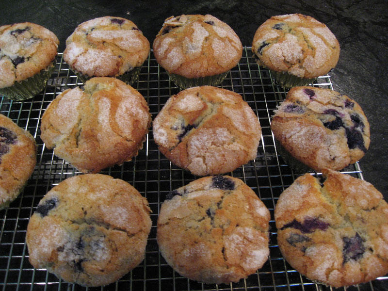 1432122423_IMG_5643-blueberrymuffins.jpg.529099bc1afd1b94945a3262e1f11e20.jpg