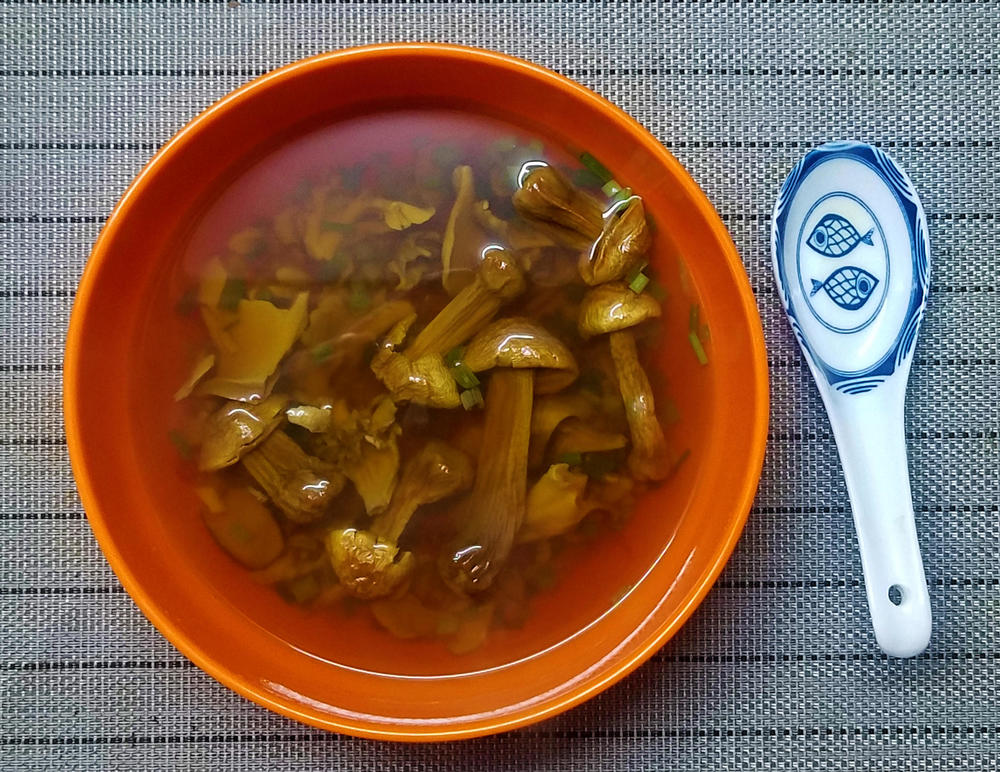 513681048_mushroomsoup.thumb.jpg.528e6382d4fc86ce5fc513cd0239886a.jpg