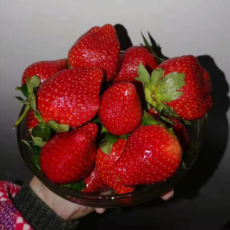 strawberries.thumb.jpg.407ae0e7ab5cbab47e00c25ff63752a1.jpg