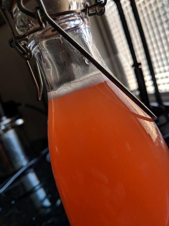 strawberry ginger beer.jpg