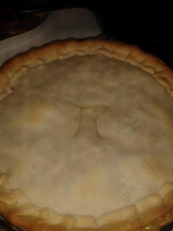 743910212_chickenpotpie.thumb.jpg.0aad4c0515d5f3a0d7789d6e5fc6cf5c.jpg