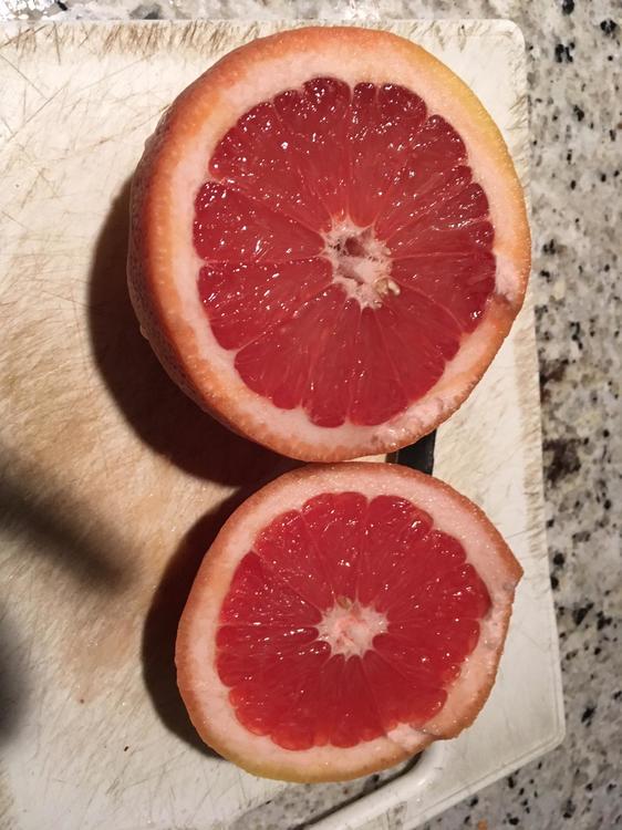 grapefruit.JPG