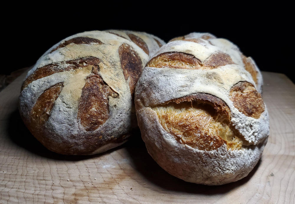 2064165799_SourdoughMay1stbakedMay2ndBigaApril30th.thumb.jpg.40ab512222691597c31761a732e22fc2.jpg