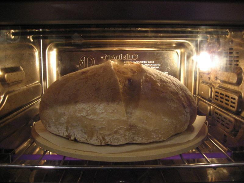 1226254392_IMG_6141-sourdoughinCSO.jpg.8e8b7ac36d6e1df6c0ca16e3e1cb5c53.jpg