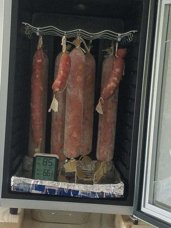 13 lbs. salami.jpg