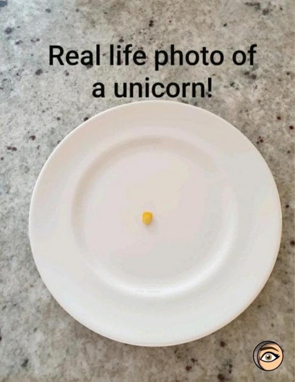 unicorn.thumb.jpg.ba4b93b74d7291ba2da14123f6ba6881.jpg