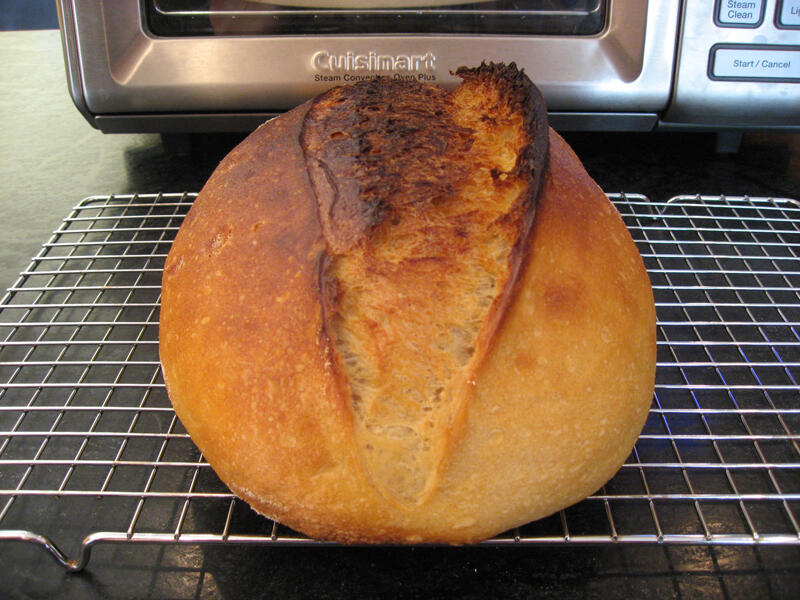 850006792_IMG_6259-2020July27-sourdoughbread.jpg.bcb189ec876f5c43f47ba3aac8be8dee.jpg