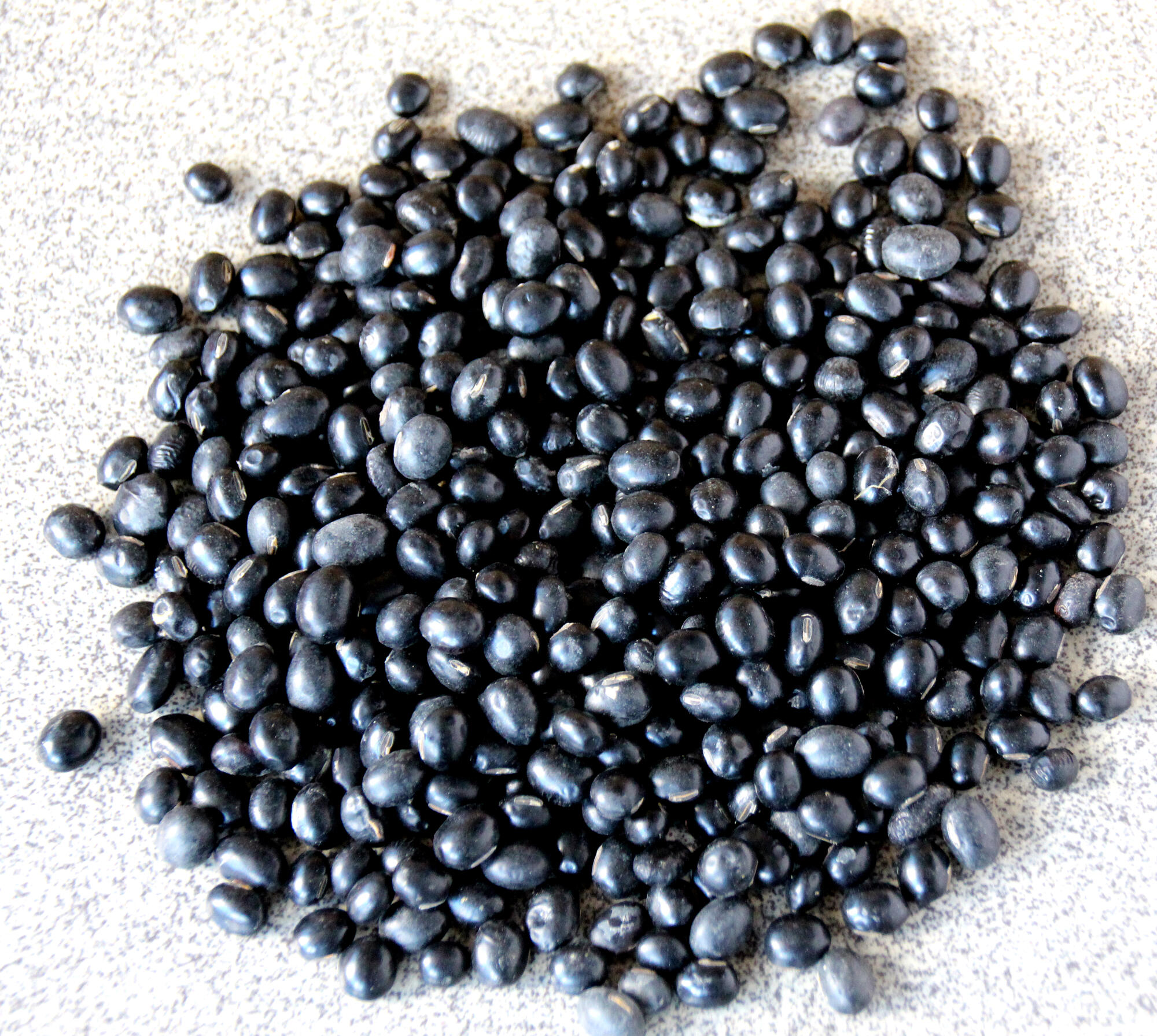 black soya beans.jpg