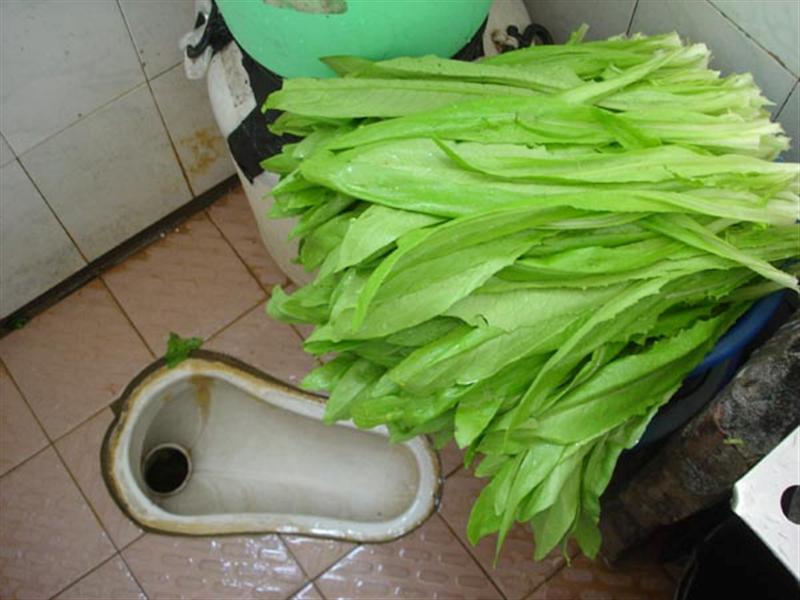 toilet-vegetables-Medium.jpg.c4dd5c2fcf6c777b7db898e50c8ea1d9.jpg