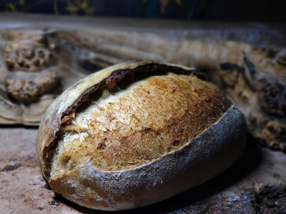 Sourdough 25% Rye February 24th baked Feb 25th 2.jpg