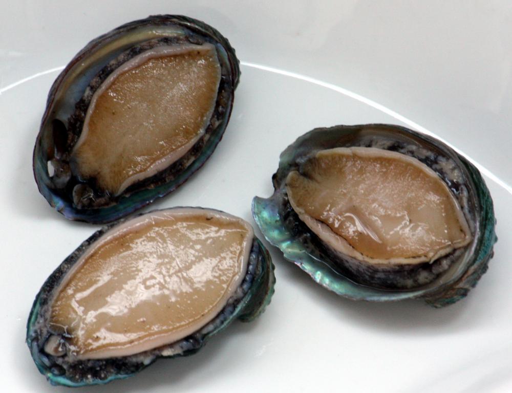 Abalone.thumb.jpg.8e745f8269fc0f02b457c9272a49bcd3.jpg