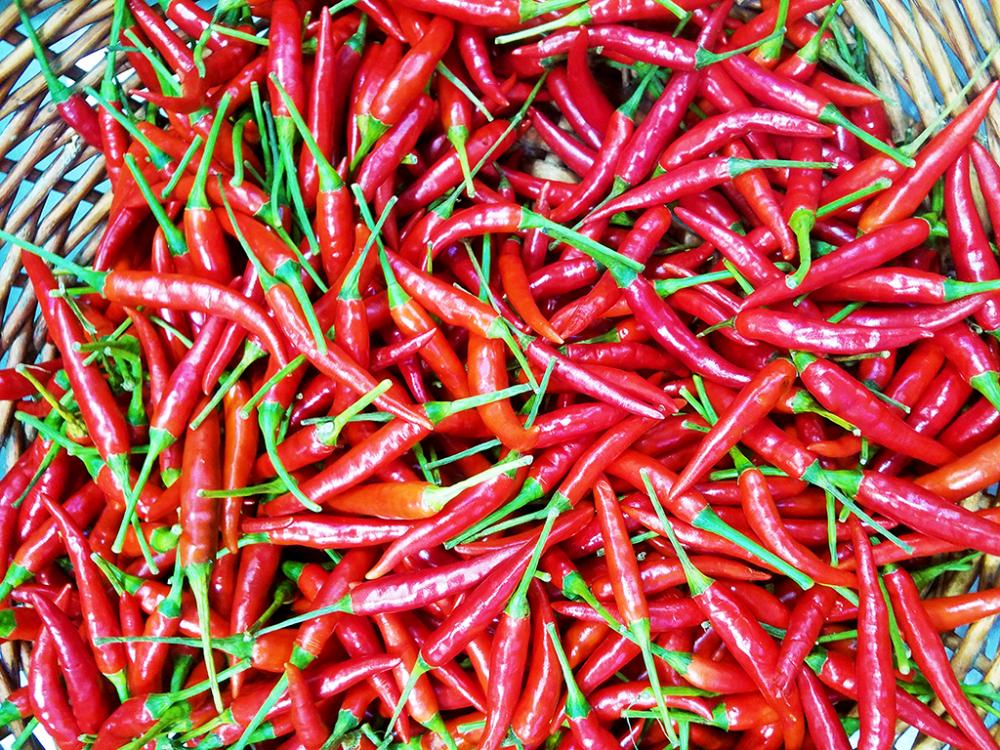 chillies.thumb.jpg.b29219624d3d89529ddfdcf06ddf3f78.jpg