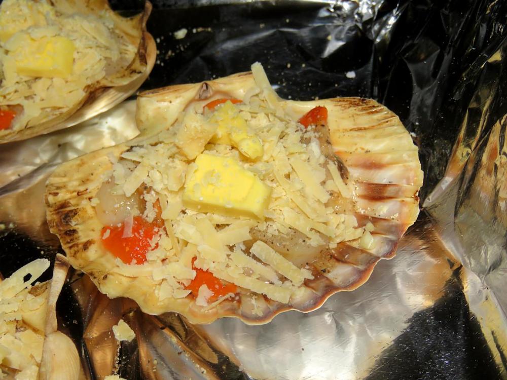 scallops2.JPG