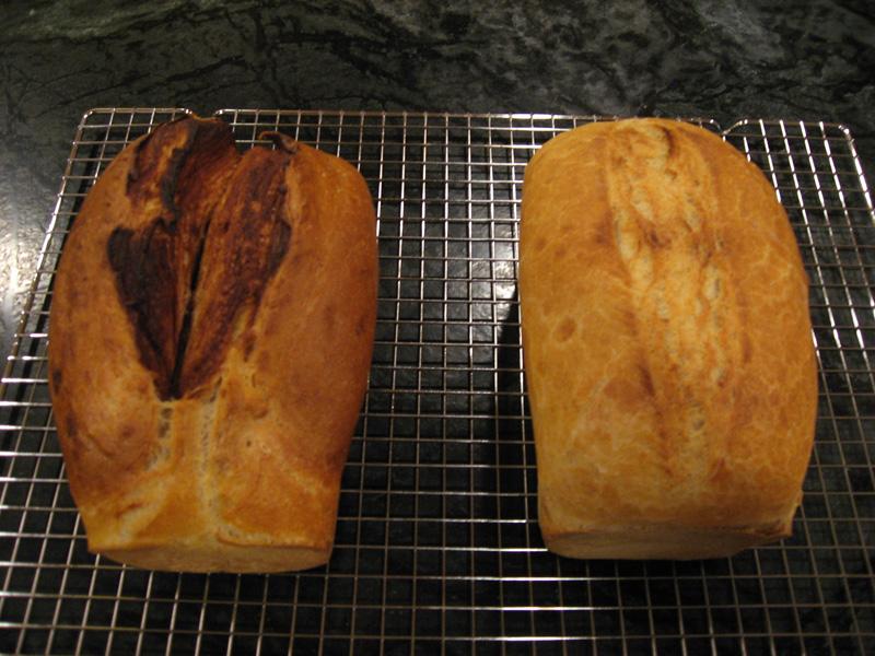 1123692010_IMG_6795-BuzzbyBakes-sandwichandcinnamonloaves.jpg.6b9a9eeeaa6eb94af40aee2fafcfd72e.jpg