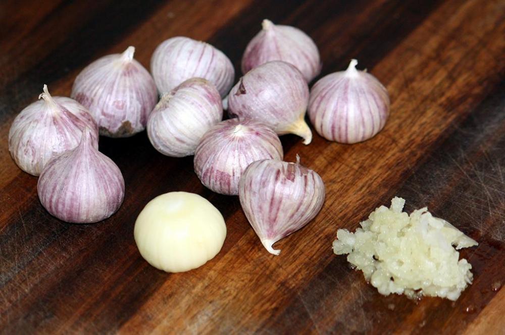 single head garlic1.jpg