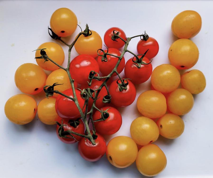 1028808207_cherrytomatoes.thumb.jpg.f36cb54d0d0ca23a86c0c3ae2c97ab60.jpg