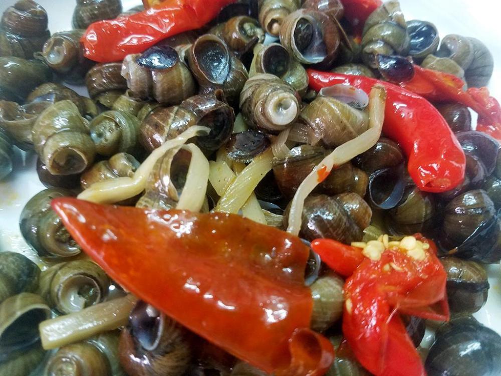 chilli snails.jpg