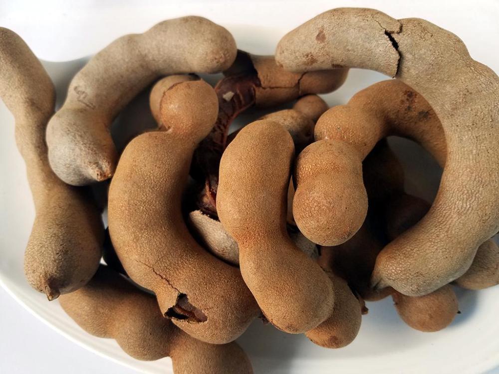 tamarind5.thumb.jpg.e67c507186981cd31f629be5b0d8a9ca.jpg