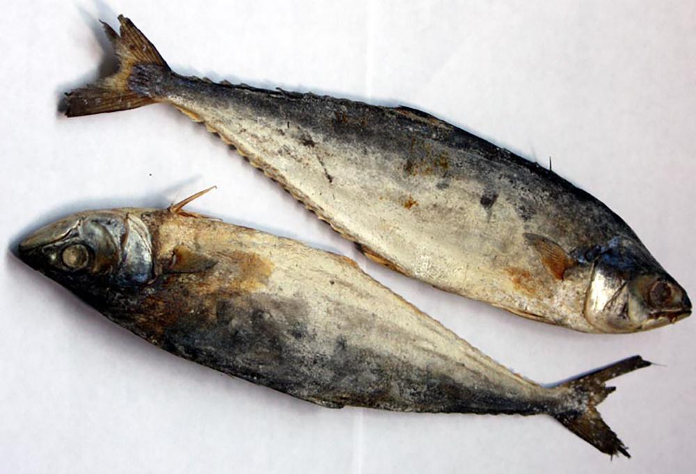 Salted_dried_mackerel.jpg.b351b4122058f8999e83037780e49497.jpg