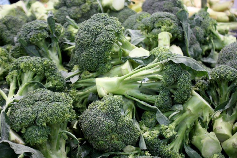 broccoli 3.jpg