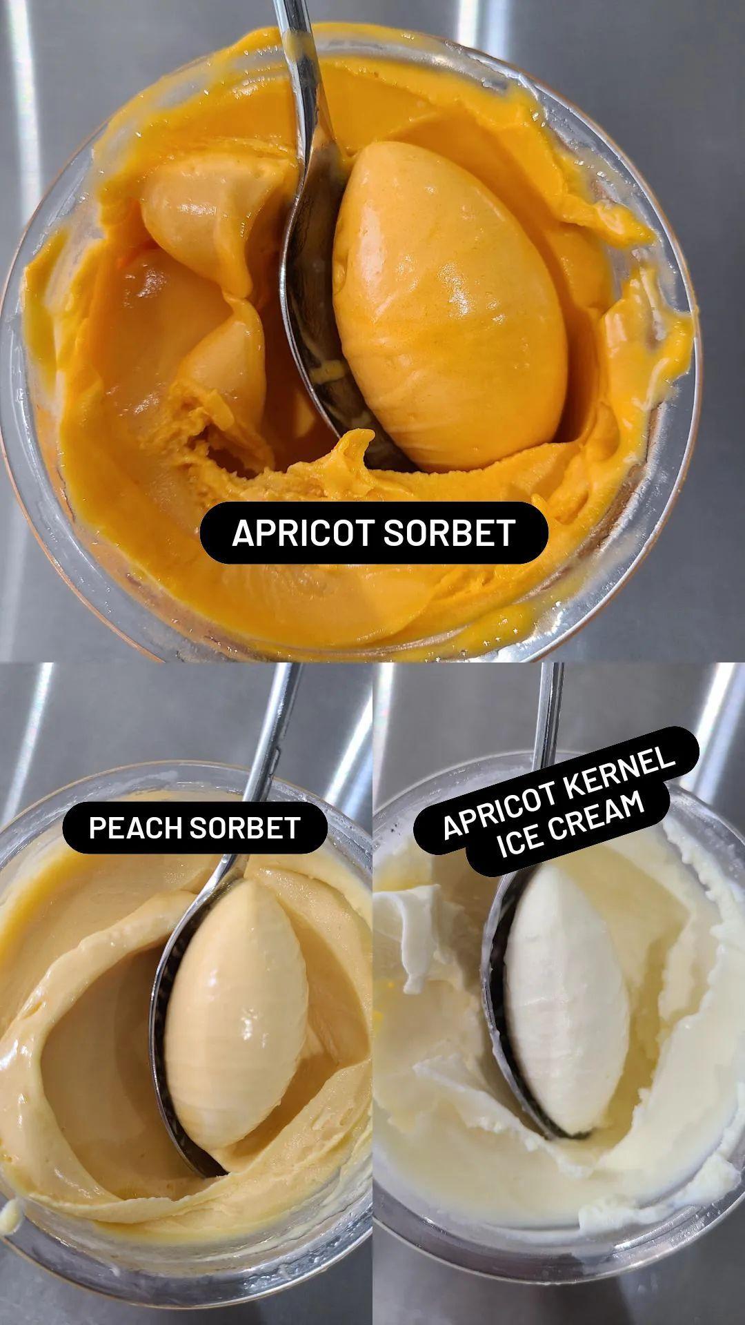Peach Sorbet Ninja CREAMi Recipe
