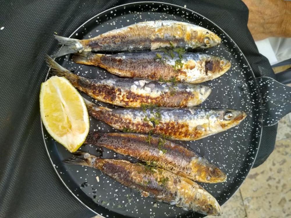 sardines before.jpg