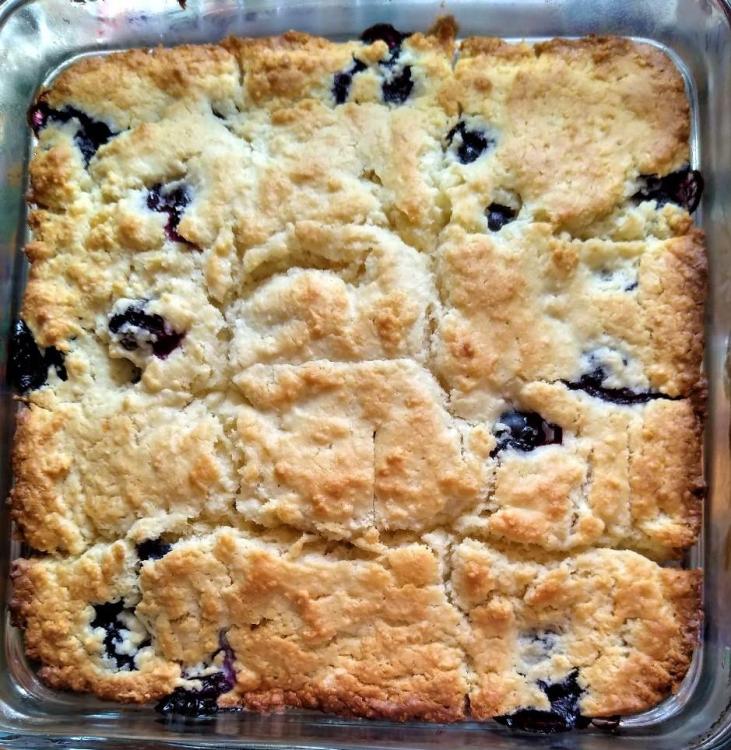 blueberry biscuits1.jpg