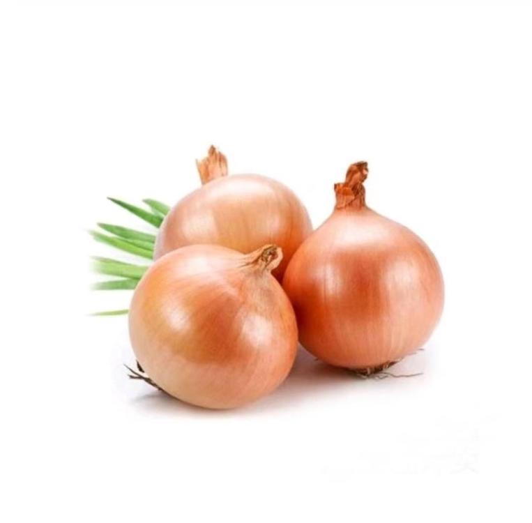 onion1.thumb.jpg.ba37c1c9fd7db50c442bbbfb865599f7.jpg