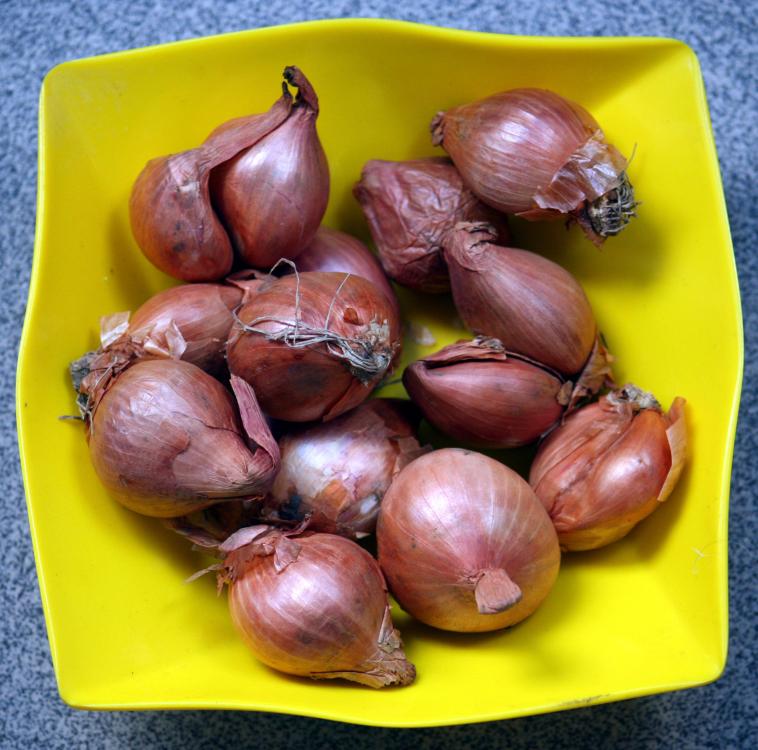 shallots.thumb.jpg.994ca6ad9174545db566d38b8b0cbbfb.jpg