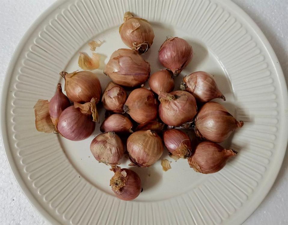 small onions.jpg
