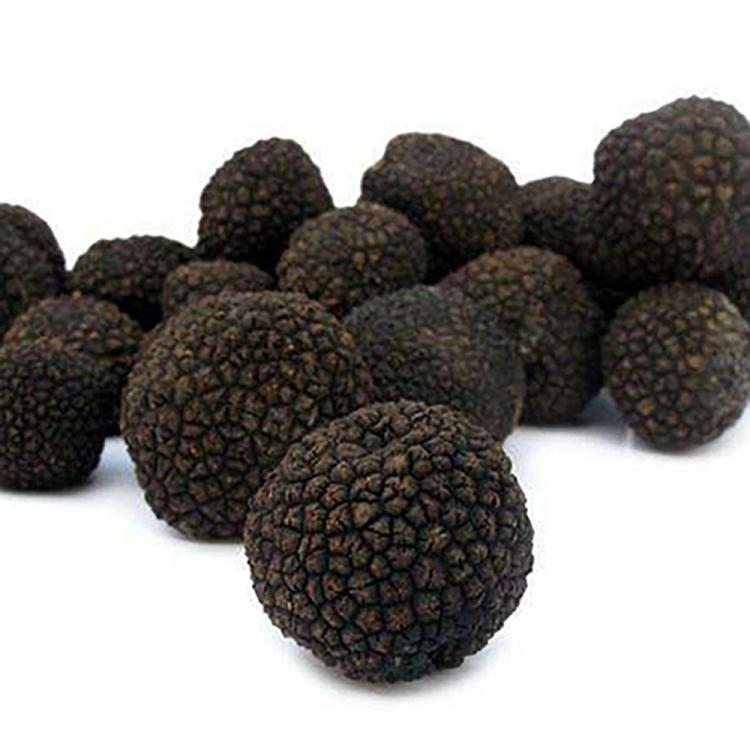 ChineseBlackTruffles.thumb.jpg.0d98d022ea6ef8f02c2107aee208f6d0.jpg