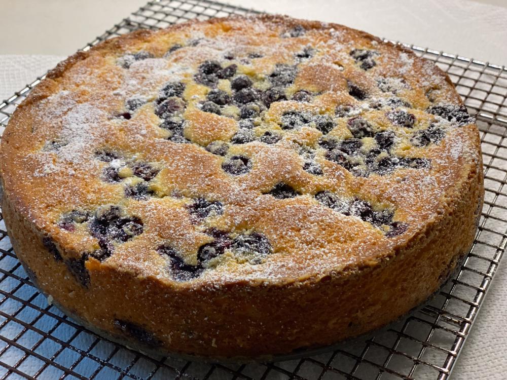 blueberrybreakfastcake.thumb.jpg.a84058876bab3f40582e97c7a515d067.jpg