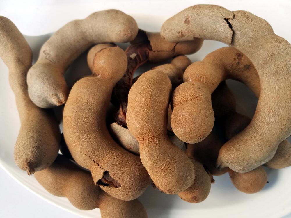 tamarind5.thumb.jpg.b5dcd4d742b35ff57d5c0084a25f3594.jpg