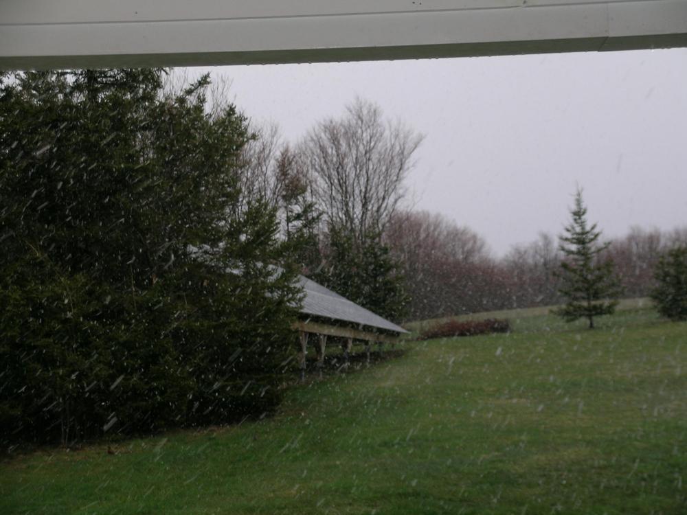 May32023Flurries.thumb.JPG.6ba706613bf33cc81d83d7b3829a91dc.JPG