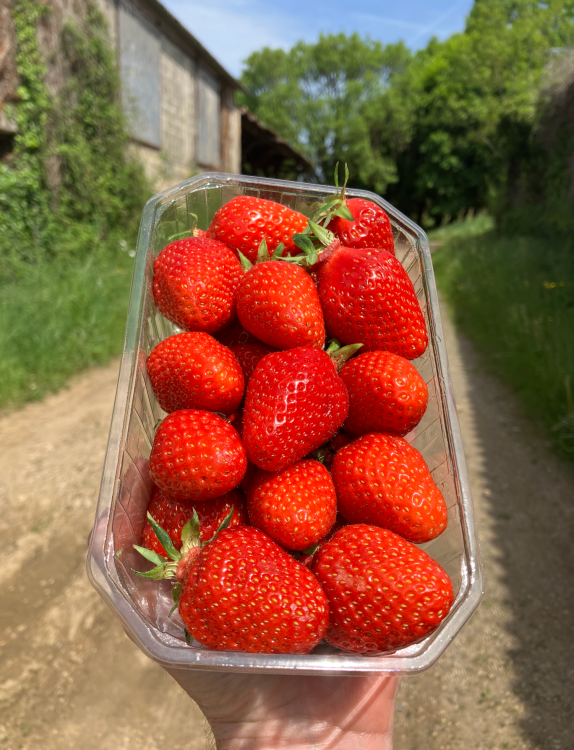 Strawberries.thumb.png.baea5416a5797f09cde497ccf749186d.png