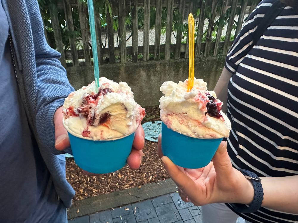 gelatojoyredwhiteandblue.thumb.jpg.13d36fe210f31a40d0b6a13b8e38ade5.jpg