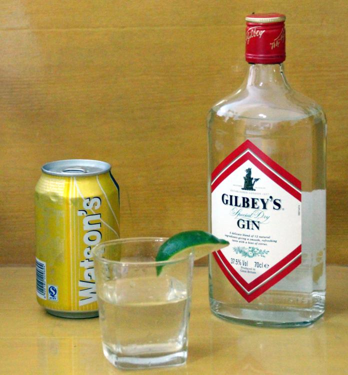 ginandtonic.thumb.jpg.451739566601b640cdaa24679ab9226a.jpg