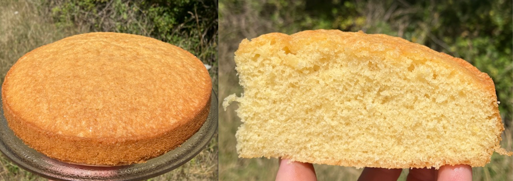 CornmealCake.thumb.png.eae39ec0a2b46c8a8318d7564902b535.png