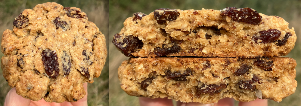 OatmealRaisin.thumb.png.ccc6b9ee50a1b11e156735e0b1f6b4b6.png