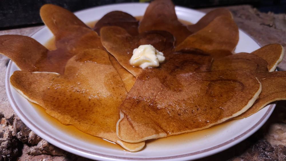 PancakesHeartshapedFebruary14th2024.thumb.jpg.5b861635f92a72e1187f13020f42e922.jpg