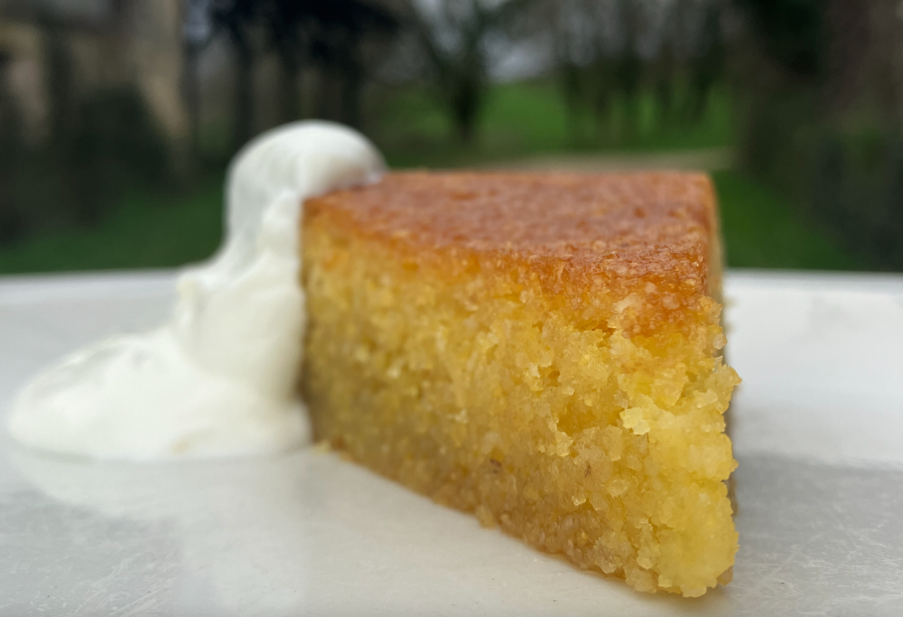 LemonPolentaCake.thumb.png.39e95bb550183ff29371886dab6a222d.png