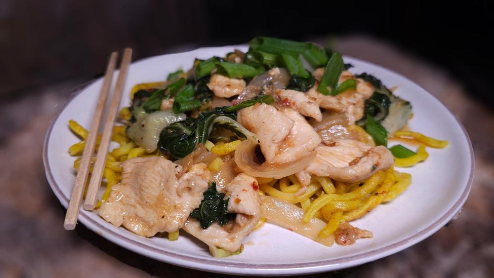 ShanghainoodlechickenstirfryMarch22nd2023.thumb.jpg.9d9aa94995dfc3b540f2dcef2307ca7a.jpg